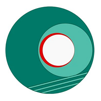 3C IT Solutions and Telecoms (India) Limited logo