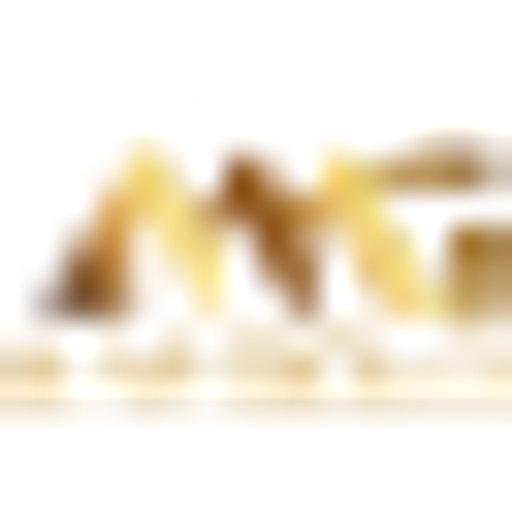 AM GOLD INC. logo