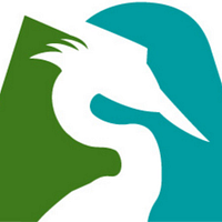 ARDEA RESOURCES LIMITED logo