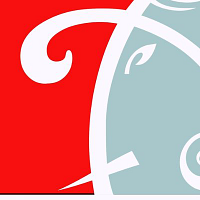 AUSTERE SYSTEMS LIMITED logo