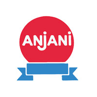 Anjani Synthetics Limited logo