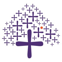 Asit C Mehta Financial Services Limited logo