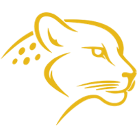BARYS RESOURCES LIMITED logo