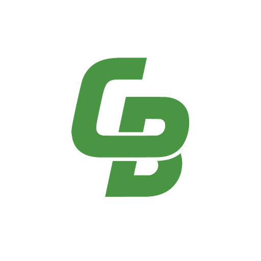 BEARING POWER (CANADA) LIMITED logo