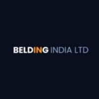 BELDING INDIA LIMITED logo