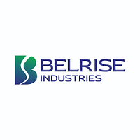 BELRISE INDUSTRIES LIMITED logo
