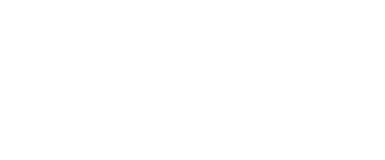 BFLABS Co.,LTD. Logo