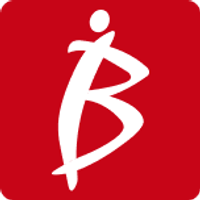 BI MATRIX Co., Ltd. logo