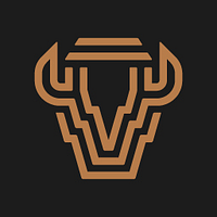 BISON RESOURCES LIMITED logo