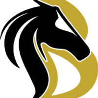 BLACK HORSE MINING LIMITED logo