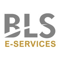 BLS E-Services Limited logo
