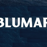 BLUMAR S.A. logo