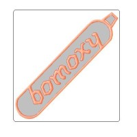BOMBAY OXYGEN INVESTMENTS LIMITED logo