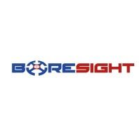 BORESIGHT LTD logo