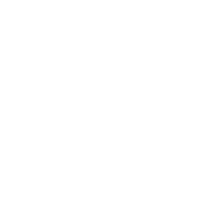 BOTANIX PHARMACEUTICALS LTD logo