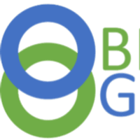 BPH GLOBAL LTD logo