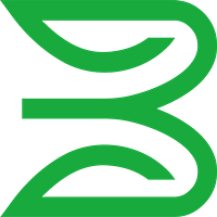 BSP FINANCIAL GROUP LIMITED logo
