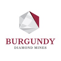 BURGUNDY DIAMOND MINES LIMITED logo