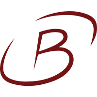 BURLEY MINERALS LTD logo