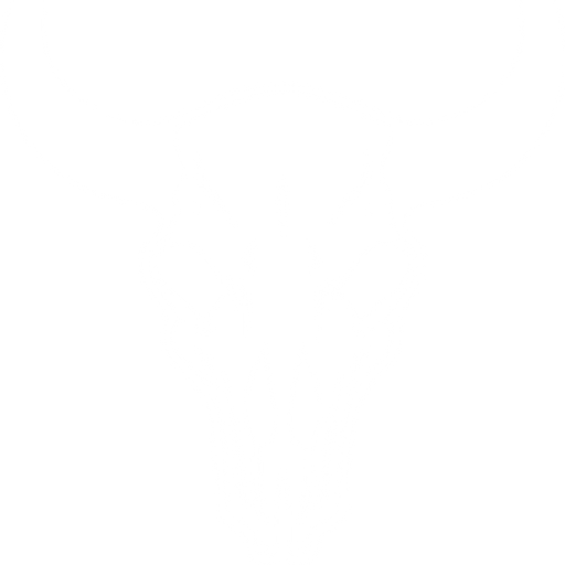 Badlands Resources logo