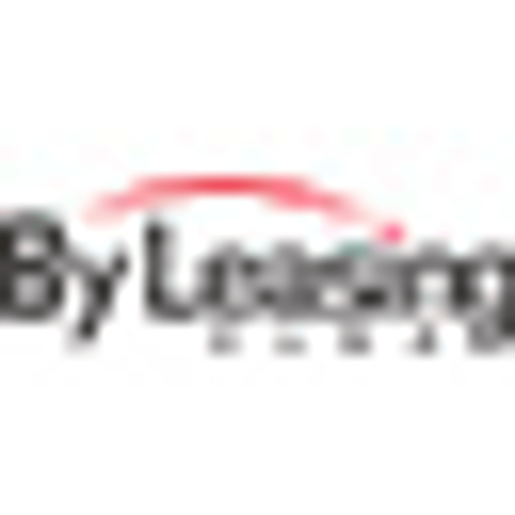 Baiying Holdings Group Limited logo