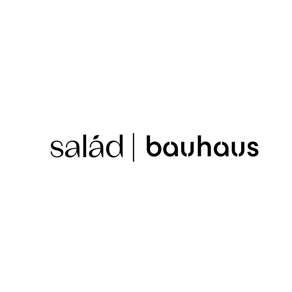Bauhaus International (Holdings) Limited logo
