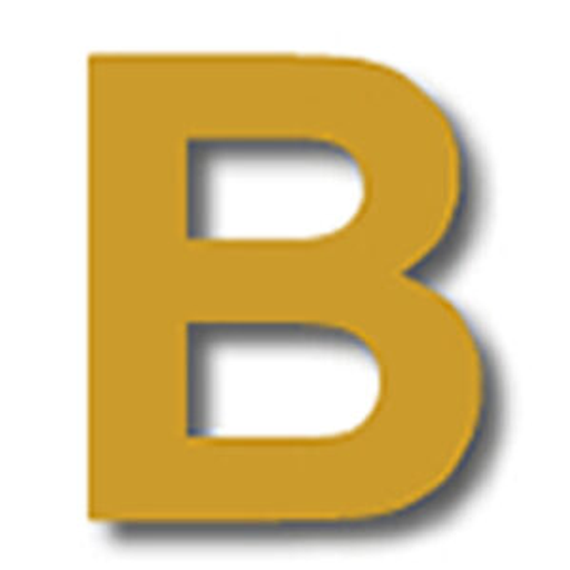 Belmont Resources Inc. logo