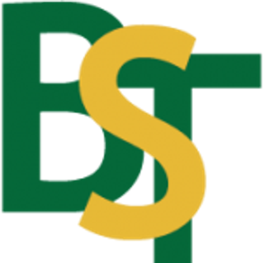 Bessor Minerals Inc. logo