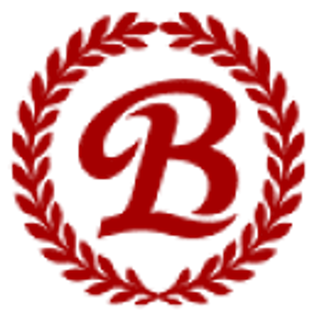 Best Linking Group Holdings Ltd. logo