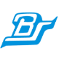 Bharat Seats Ltd logo