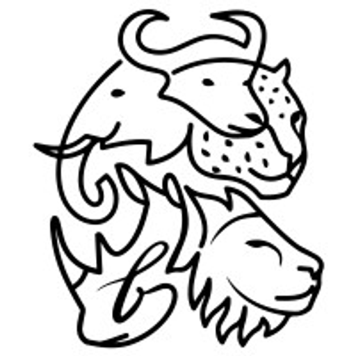 Big Five Capital Corp. logo