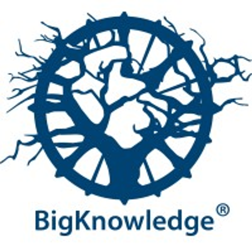 Bigknowledge Enterprises Inc. logo
