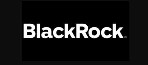 BlackRock Health Sciences Term Trust Logo