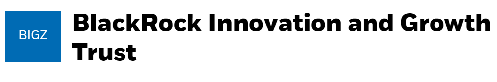 BlackRock Technology & Private Equity Term Trust Logo