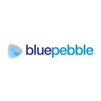 Blue Pebble Limited logo