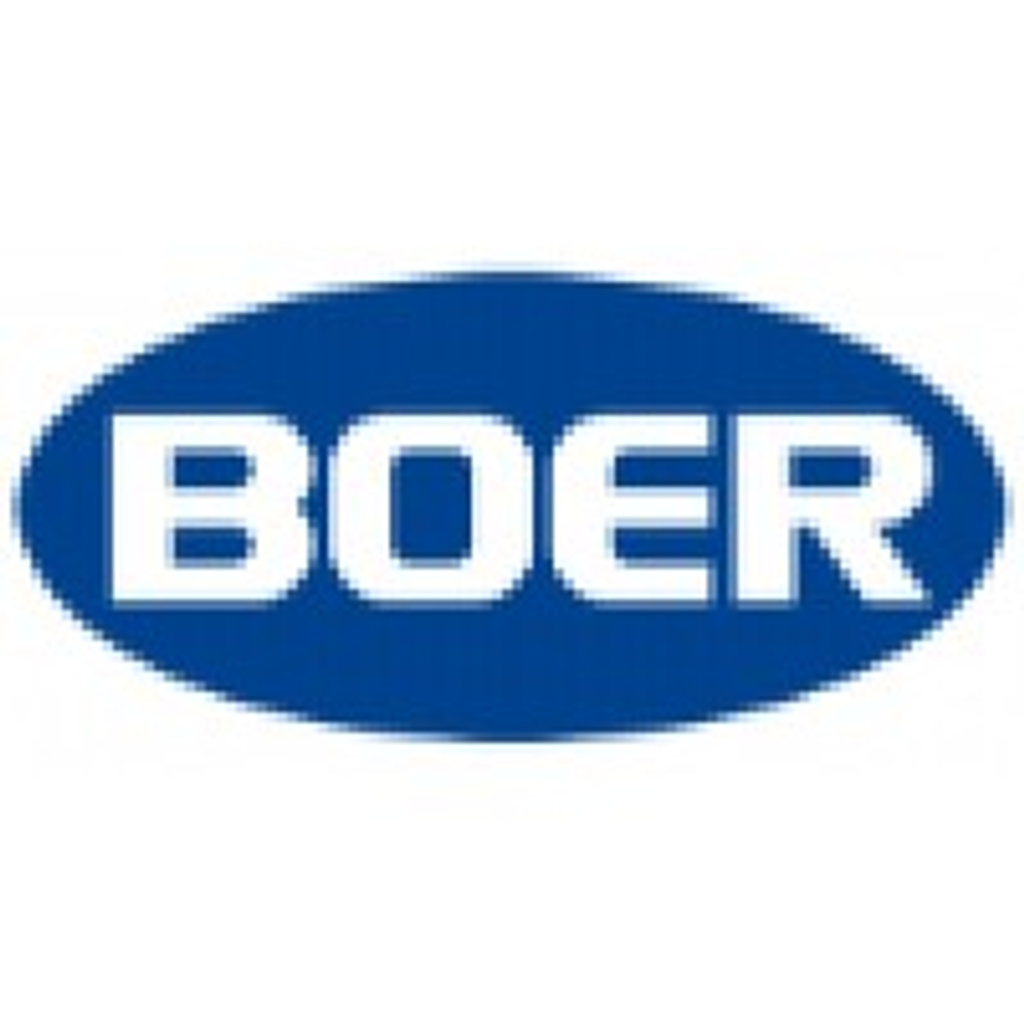 Boer Power Holdings Limited logo