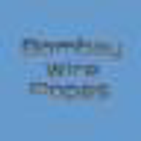Bombay Wire Ropes Ltd. logo
