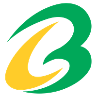 Brace Port Logistics Limited logo