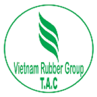 Công ty Cổ phần Chế biến Gỗ Thuận An logo