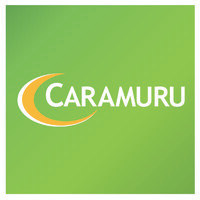 CARAMURU ALIMENTOS S.A. logo