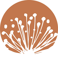 CARAVEL MINERALS LIMITED logo