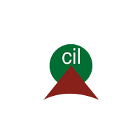 CEMANTIC INFRA-TECH LIMITED logo
