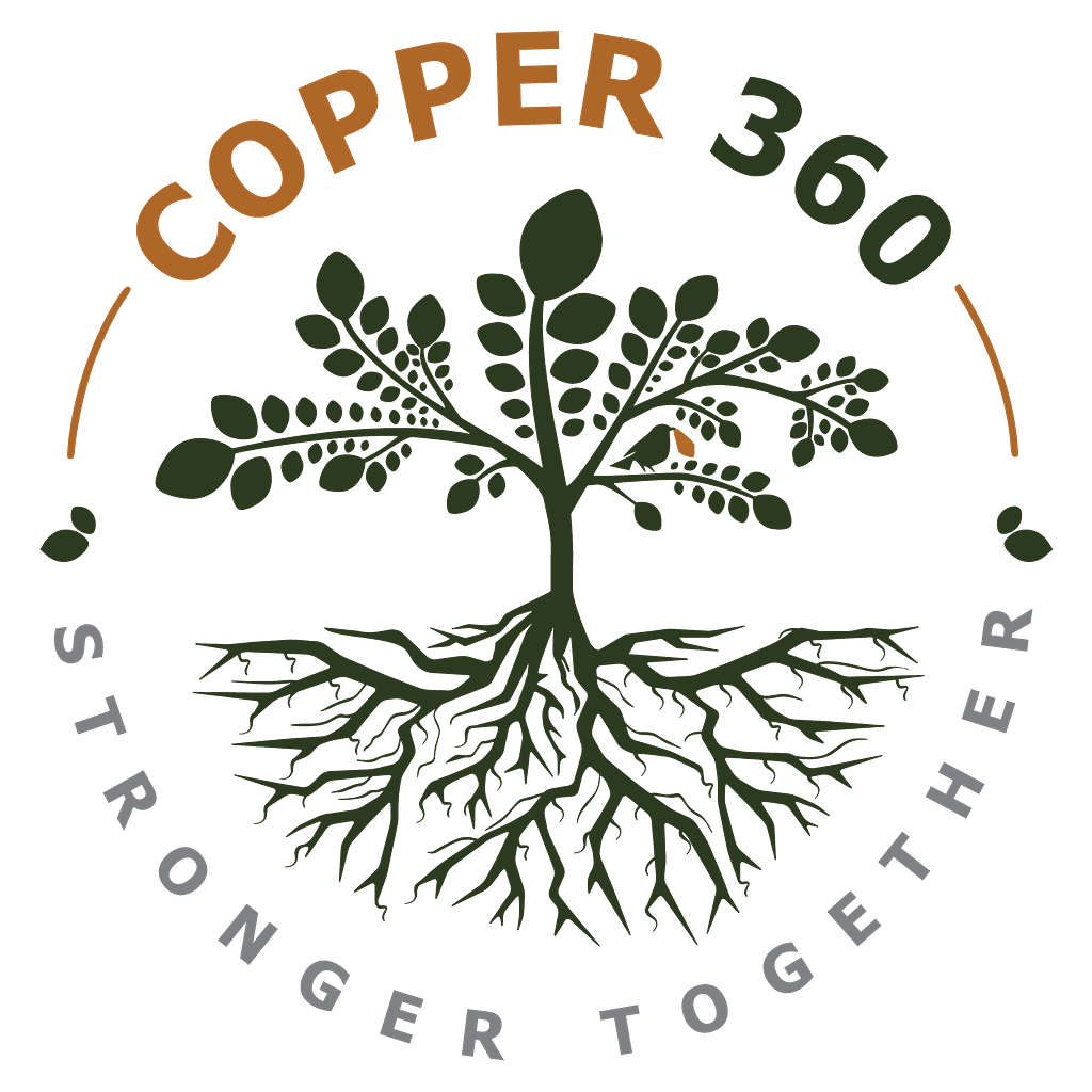 COPPER 360 LIMITED logo