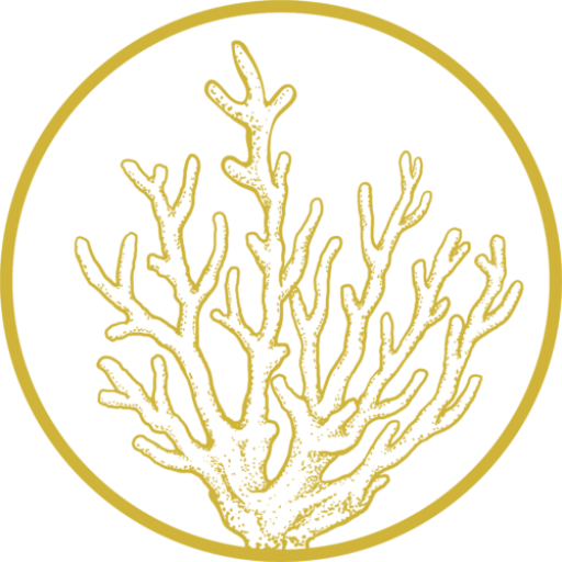 CORAL GOLD RESOURCES LTD. logo