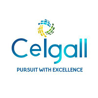 Ceigall India Limited logo