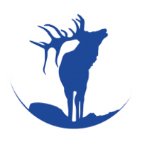 Cervus Financial Group Inc. logo