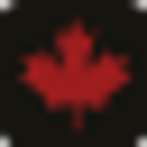 Champion Bear Resources Ltd. logo
