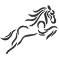 China Kingstone Mining Holdings Limited logo