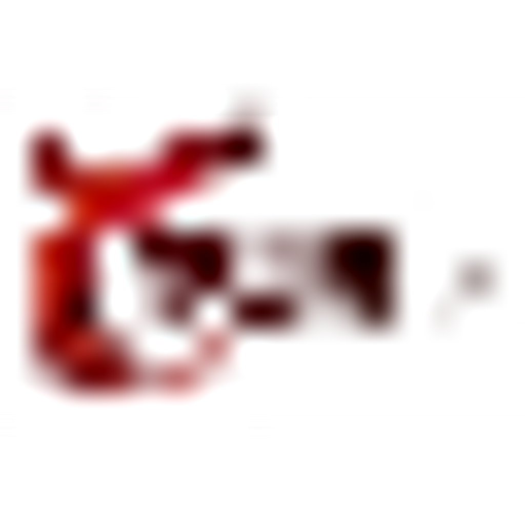 China Longevity Group Company Limited logo