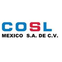 China Oilfield Services Limited logo